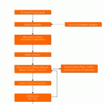 5S audit flow
