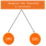 Management Role in QMS, EHS