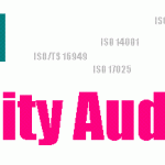 Internal Audit Training Program