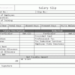 Salary Slip Format