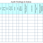 How to maintain audit findings & status?