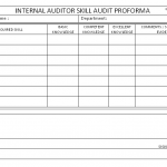 Internal auditor skill audit proforma
