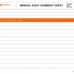 Manual Audit summary sheet