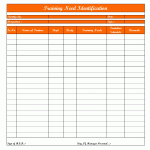 Training Need Identification Format