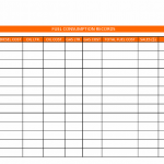 Fuel Consumption Records