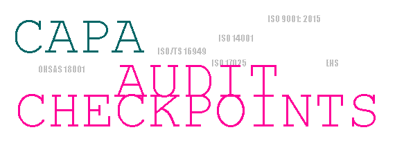 CAPA audit Checklist points