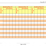 Health Progress Record sheet