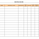 Meeting records format