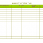 Gauge Improvement Plan