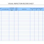 Visual Inspection Record Sheet