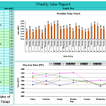 Weekly Sales Report