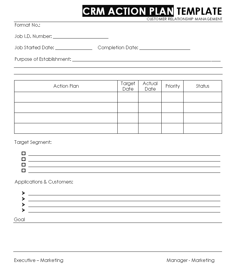 CRM Action plan template