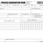 Process observation form