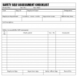 Safety accountability self assessment checklist