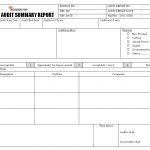 Supplier Audit summary report
