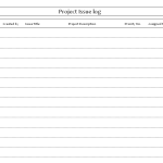 Project issue log
