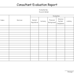 Consultant evaluation report
