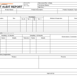 Layout audit template