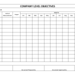 Company level objectives