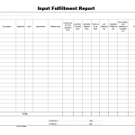 Input fulfillment Report