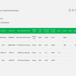Daily Production Report
